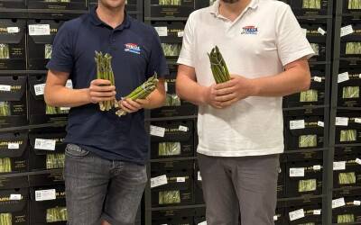 Jaarrond verse groene asperges bij Teboza!